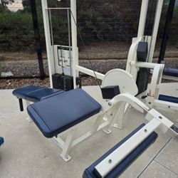 Cybex Prone Leg Curl Gym Equipment Exercise Fitness Workout Weight Machine