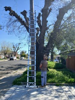 Heavy Duty Collapsible Ladder