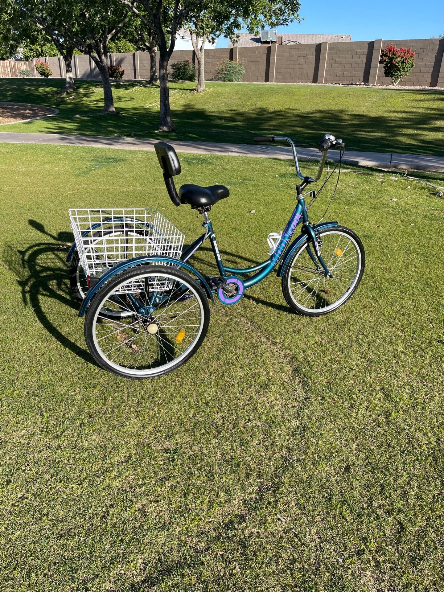 THREE WHEEL BIKE