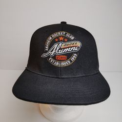 Violent Gentlemen Rare Anaheim Ducks NHL Alumni Est. 1993 Black Snapback Hat 