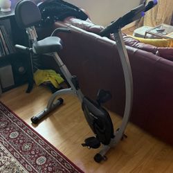 Freestanding Exercise Bike