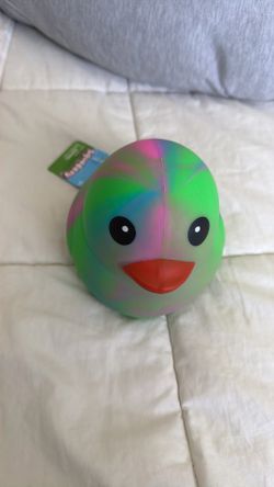 Squishy Duck