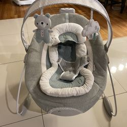 Baby Bouncer