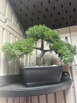 Plastic Bonsai Tree
