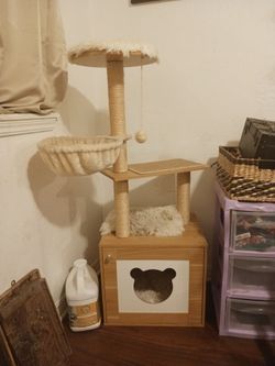 Cat Tower💪