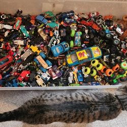 hot wheels collection 
