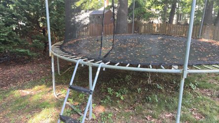 Free Trampoline
