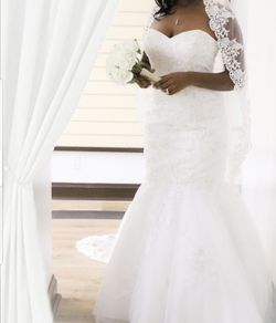 Wedding Gown w/veil