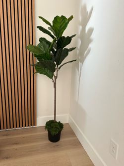 Faux Indoor Outdoor Plant
