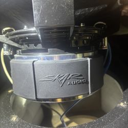 Skar 12” Speakers 