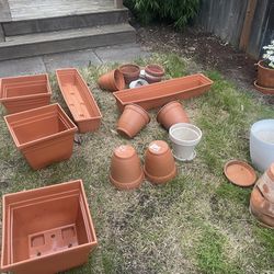 Assortment Of Outdoor Pots