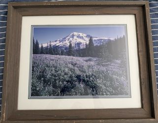 Seattle Mountain Cabin Wall Print
