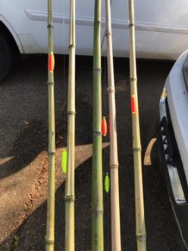 Fishing for Sale in Jackson, MS