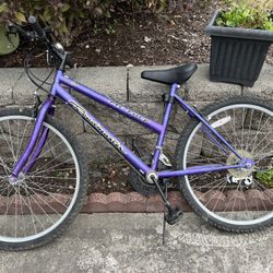 Ladies 15 Speed Bike