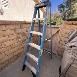 Werner 6 Foot Fiberglass Ladder