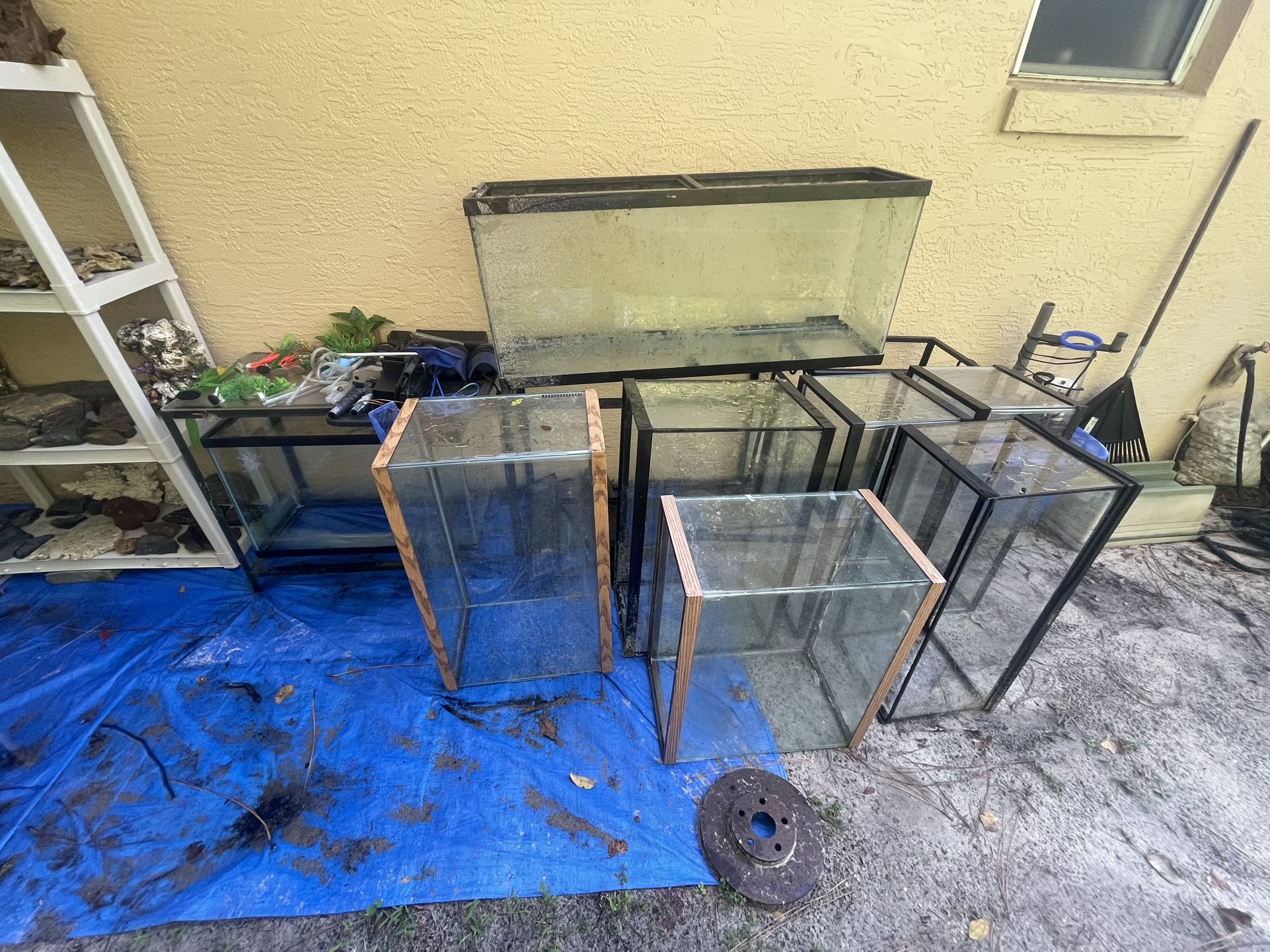 AQUARIUM LOT!