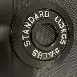 🔥2.5 lbs Olympic Weight Plate 2-Inch Insert Pair - New (5lbs Total) 💪🏋️