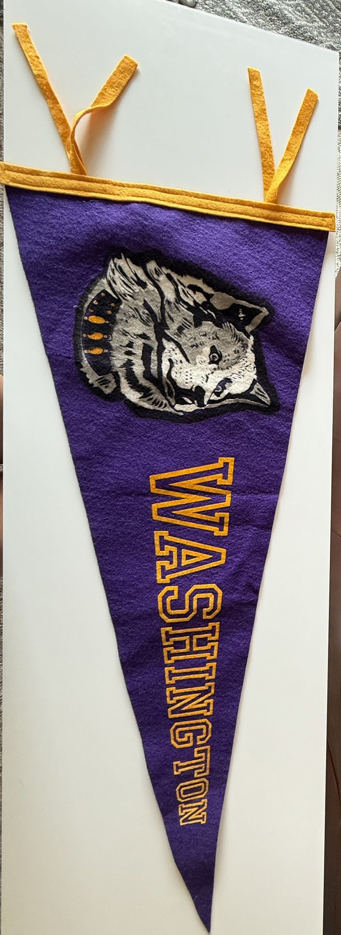 University of Washington Old Pennant