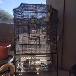 Bird Cage
