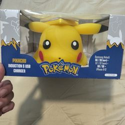 USB Charger 