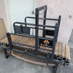 Dog Treadmill