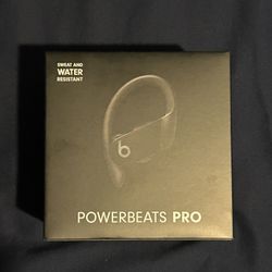 Beats By Dr. Dre Powerbeats Pro In Ear Wireless Headphones - Black