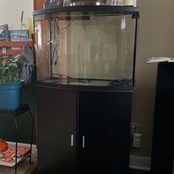 32 Gallon Fish Tank with Stand, pump and more.