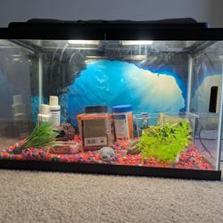 Fish Tank 