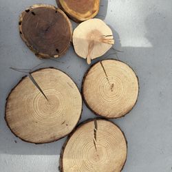 6 Pieces Of Wood 