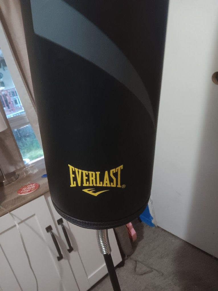 25$ Everlast Punching Bag