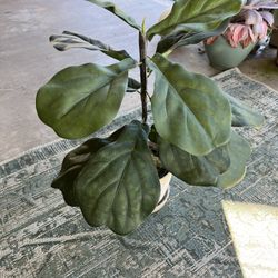 Faux Fiddle Leaf