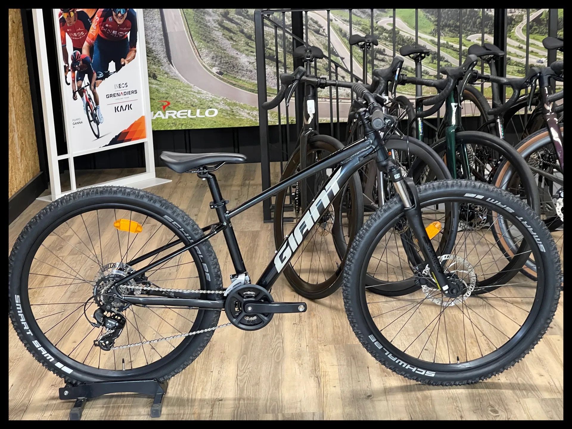 Giant Mountain Bike”Need It Out By This Week”