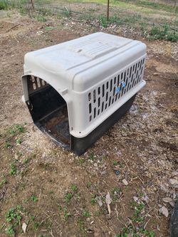 Dog Kennel
