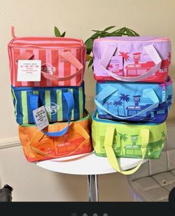 Trader Joe's Mini Insulated Bags Set of 6