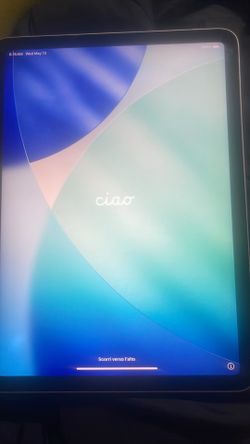 Apple 4th generation 10 inch screen
