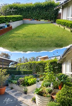 Raise garden bed