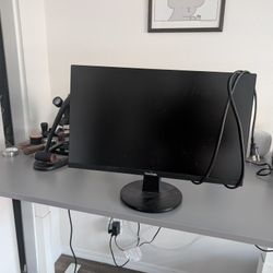 Monitor - 24" - Full HD - I have two (specs in description)