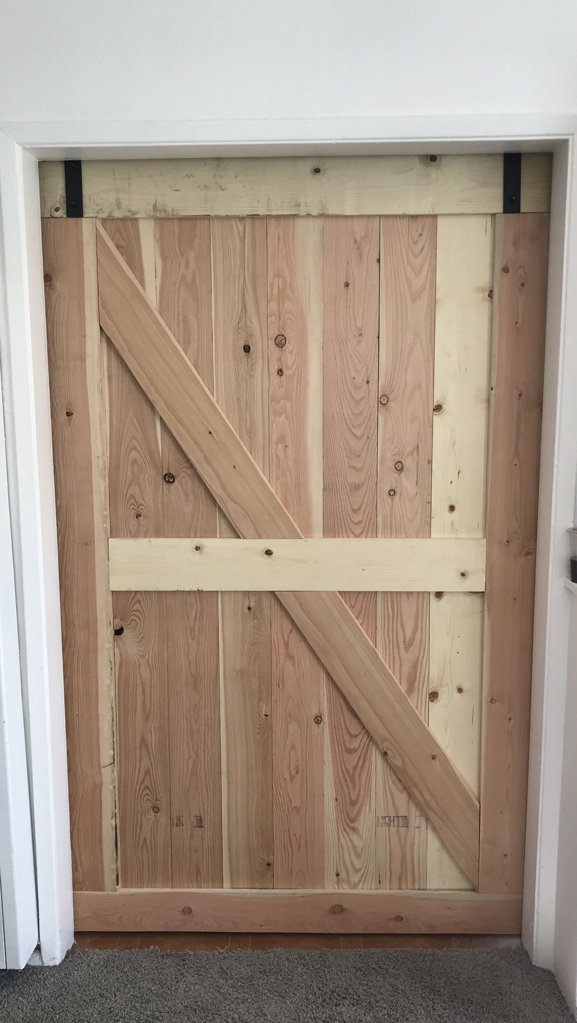 Barn Door With Sliding Hinges 