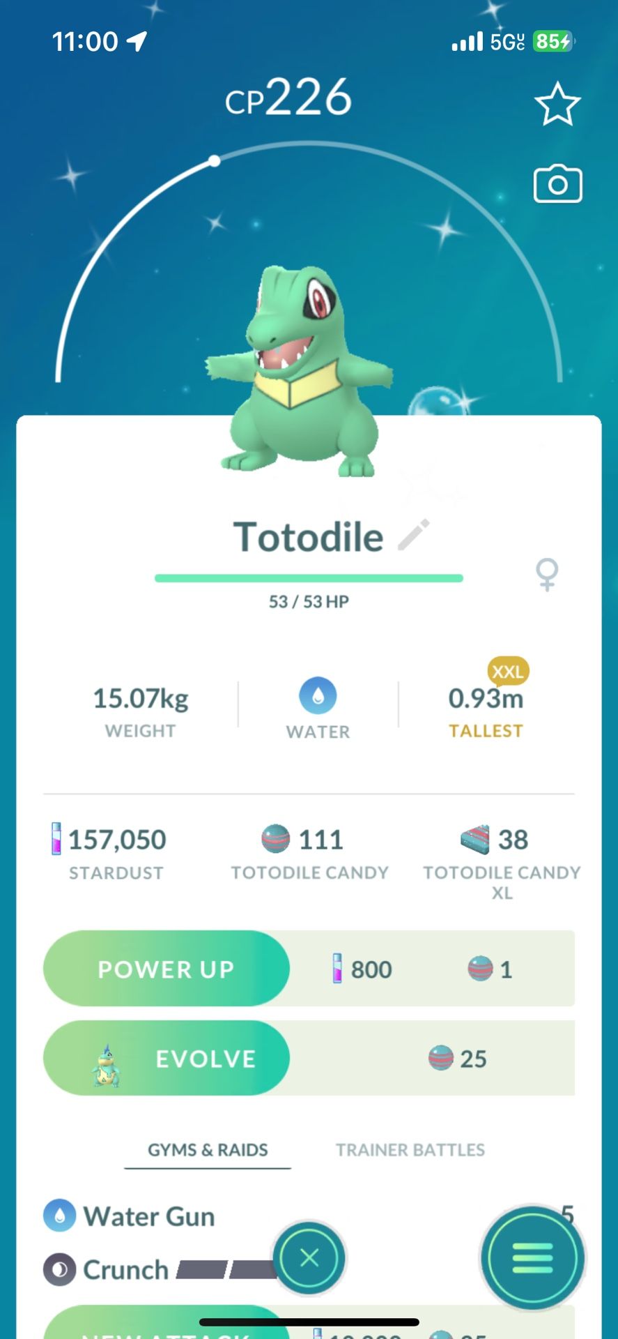Pokemon Go Shinny Totodile