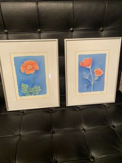 2 Poppy prints by Turner 11” x 14”