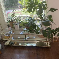 Westelm Coffee Table Clear Glass and Gold Rectangle Glass Coffee Table