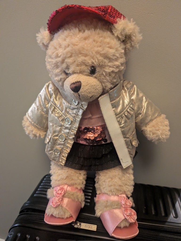 Fully Clothed Build A Bear Teddy