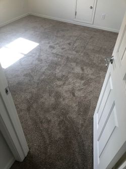 Carpet