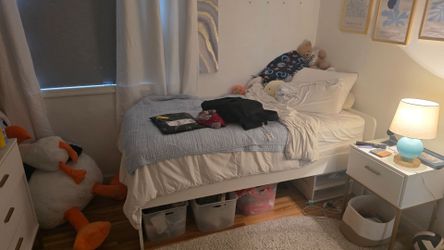 Free twin mattress witn bed frame