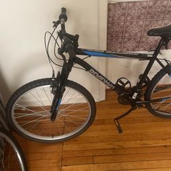 Two Bikes