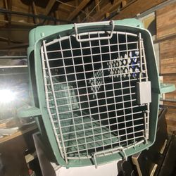 dog kennel