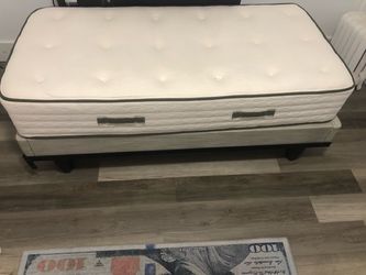Avocado Twin Mattress with Box Spring and Frame