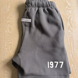 1977 Iron Essentials shorts SS22
