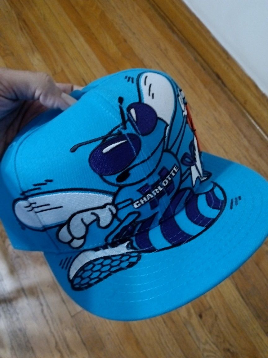 Charlotte Hornets
