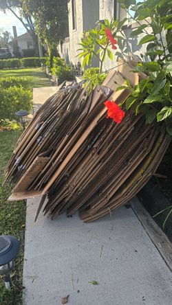 Used cardboard boxes.